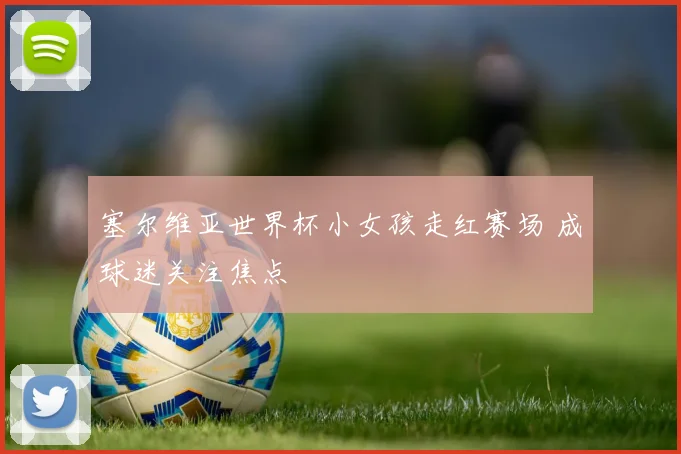 塞尔维亚世界杯小女孩走红赛场 成球迷关注焦点