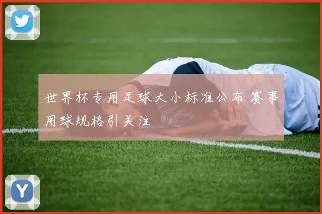 世界杯专用足球大小标准公布 赛事用球规格引关注