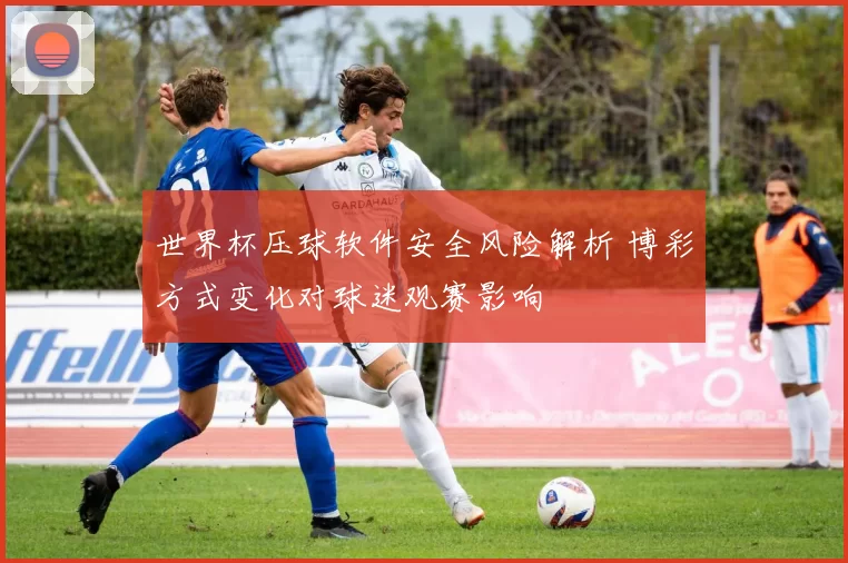世界杯压球软件安全风险解析 博彩方式变化对球迷观赛影响